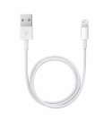 Apple Lightning auf USB Kabel (0.5 m) // NEU